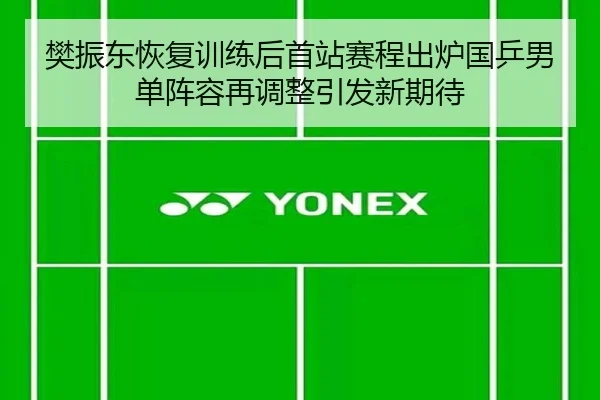 樊振东恢复训练后首站赛程出炉国乒男单阵容再调整引发新期待